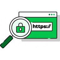 Configuración del certificado SSL (Pago Anual)